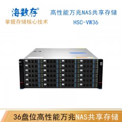 海数存36盘位高性能万兆NAS共享网络存储磁盘阵列硬盘柜HSC-VW36