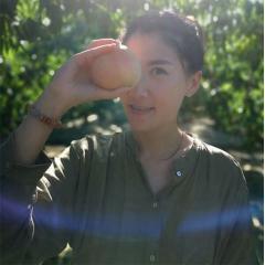 江浙沪包邮 无锡阳山湖景桃 水蜜桃中的爱马仕 4-4.8两  8只装