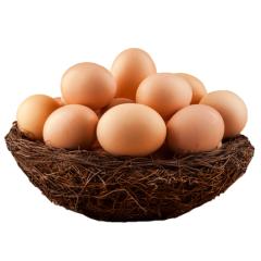狼山鸡土鸡蛋30枚  新鲜草鸡蛋生态养殖