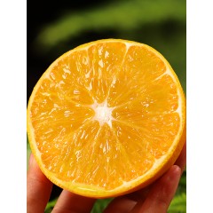 （预售11.22日发货）赣南有机脐橙 约5kg装