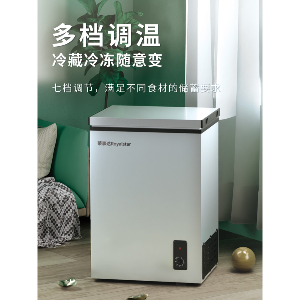 荣事达小型冰柜小冷柜家用一级节能商用冷冻冷藏柜大容量迷你两用