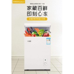 荣事达联保小冰柜家用小型迷你冷冻柜商用大容量节能保鲜两用