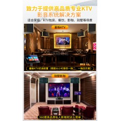 Sansui/山水SP9家用K歌专业ktv大音响连电视唱歌套装家庭版大功率卡拉ok点歌机设备全套功放影院官方旗舰音箱