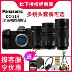 Panasonic/松下 DC-S1HGK-K 全画幅无反微单数码相机单机身 S1H