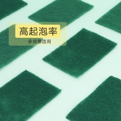 涤纶百洁布10片装