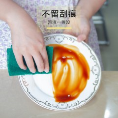 涤纶百洁布10片装