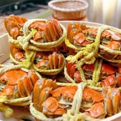 蟹得味阳澄湖大闸蟹礼盒888型蟹券